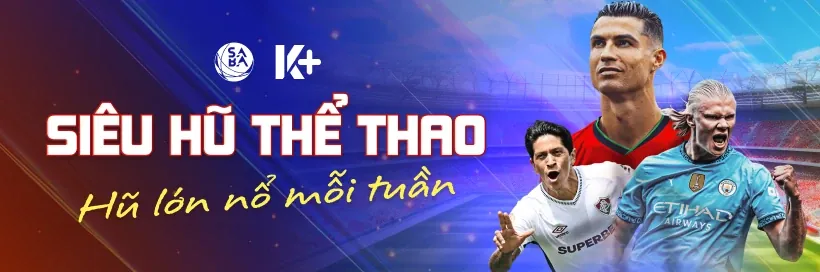 Chính sách bảo mật và an toàn ku393